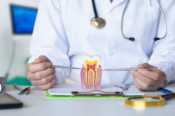 Best Dentist for Tooth Abscess  in Bally, PA